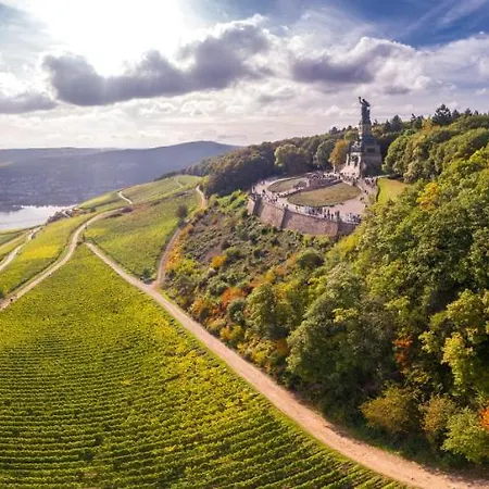 Breuer's Ruedesheimer Schloss فندق روديسهايم ام رين