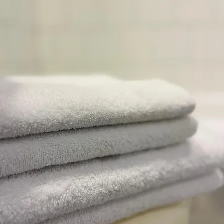 Hotel Breuer's Ruedesheimer Schloss Rüdesheim am Rhein