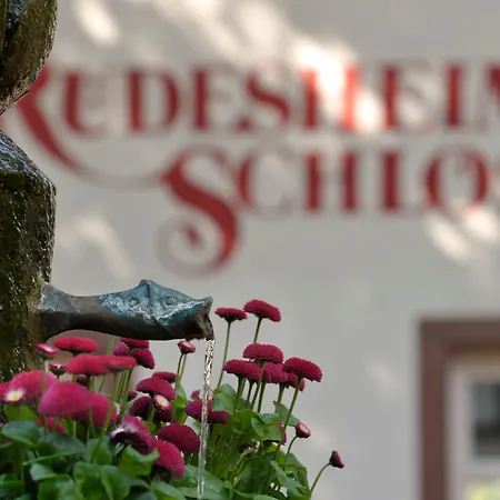 Breuer's Ruedesheimer Schloss فندق روديسهايم ام رين