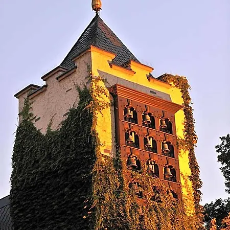 Breuer's Ruedesheimer Schloss فندق