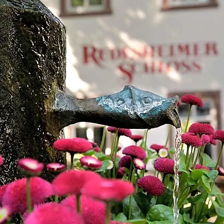 Breuer's Ruedesheimer Schloss فندق 4*