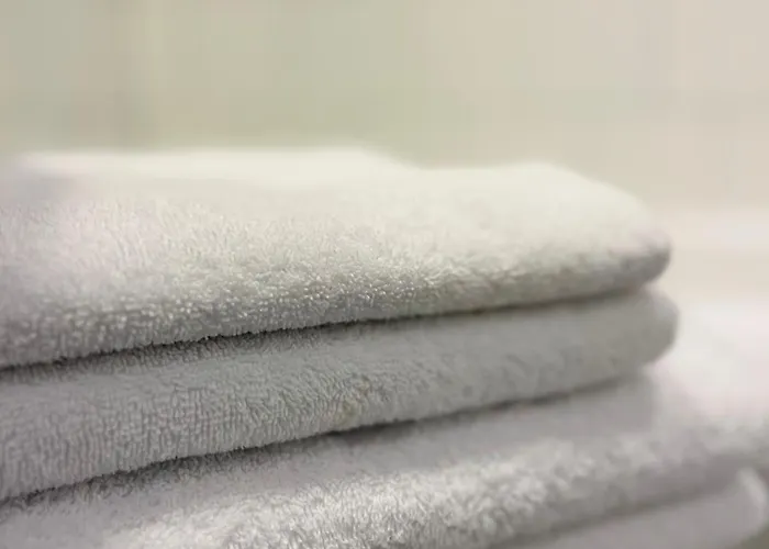 Hotel Breuer's Ruedesheimer Schloss Rüdesheim am Rhein