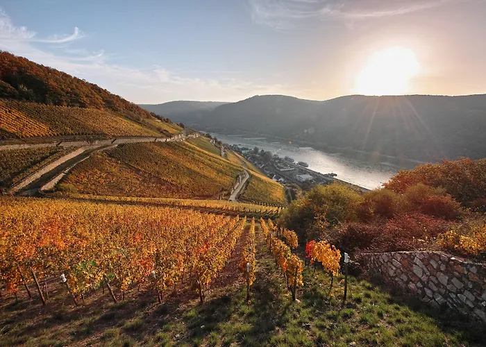 Breuer's Ruedesheimer Schloss